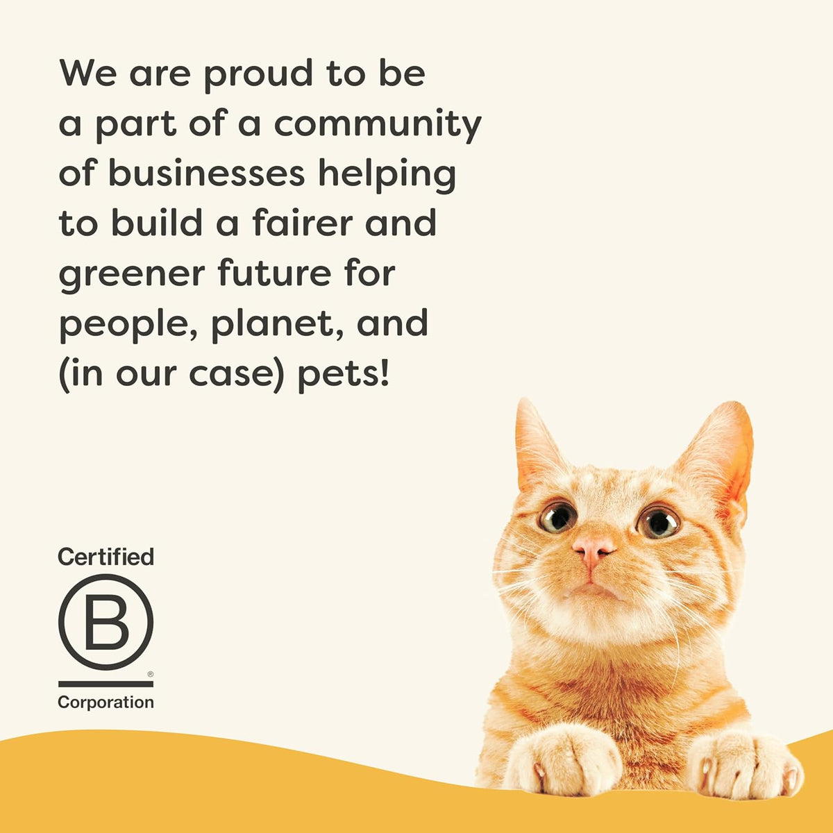 Applaws Vitality Wet Cat Food Paté, Natural Canned Cat Food, Wet Food for Cats with Added Vitamins