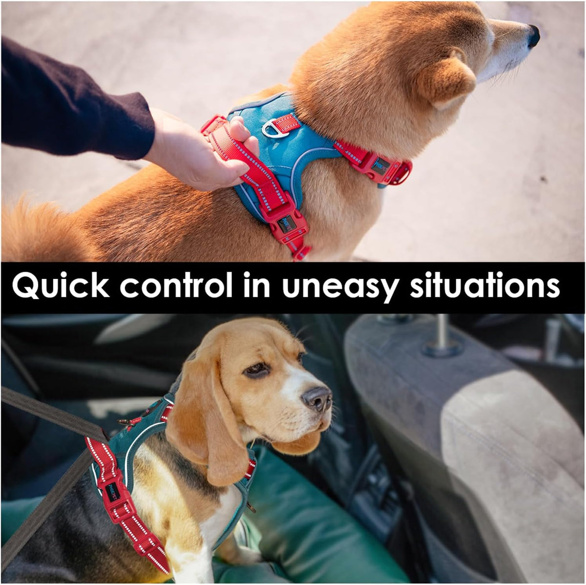 PHOEPET No Pull Dog Harness, Unique Colors Reflective Adjustable Dog Vest, with Soft Training