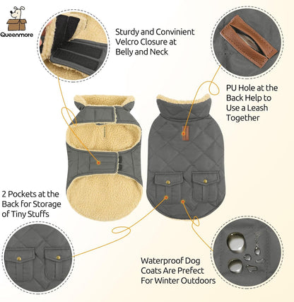 Queenmore Dog Winter Coat - Fleece Jacket, Waterproof Cold Weather Dog Clothes, Thick Warm Cotton