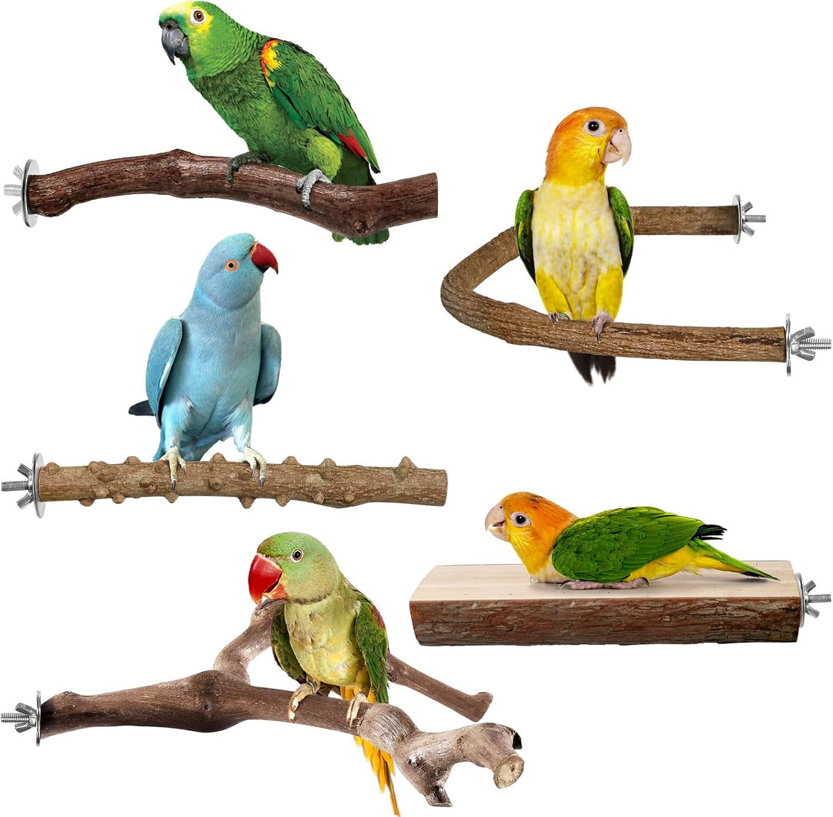 Bird Perches, 5pcs Natural Wood Birds Stand Branch, Bird Perch Chewing Stick Cage Accessories