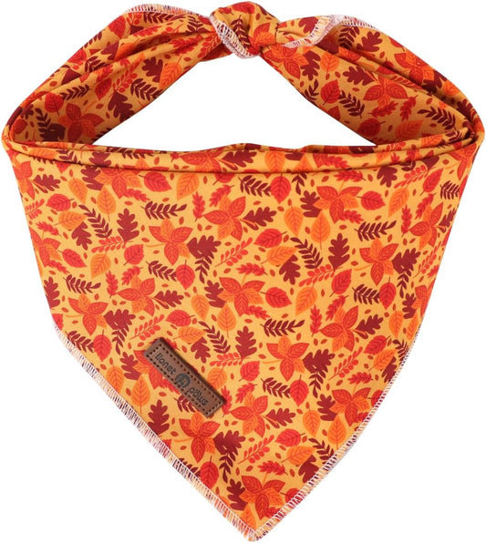 Lionet Paws Fall Dog Bandana for Small Medium Large Dogs, Cat Dog Kerchief Washable Dog Triangle
