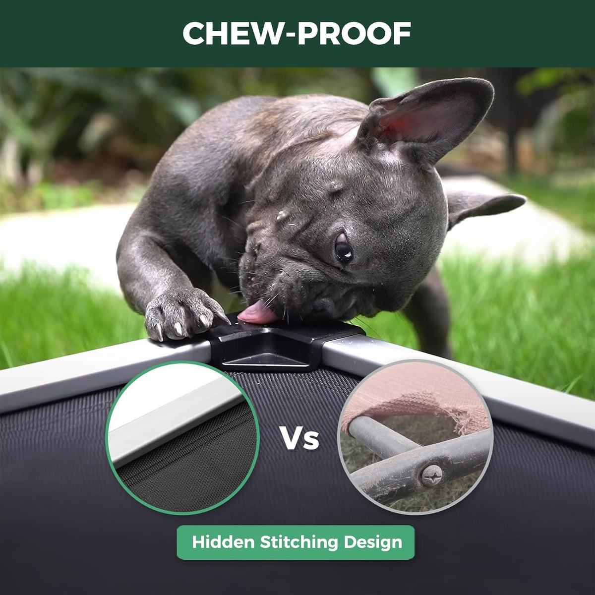 FXW TitanNest Chew-Proof Elevated Dog Bed, Raised Cot for Indoor/Outdoor/Camping Use, Durable &