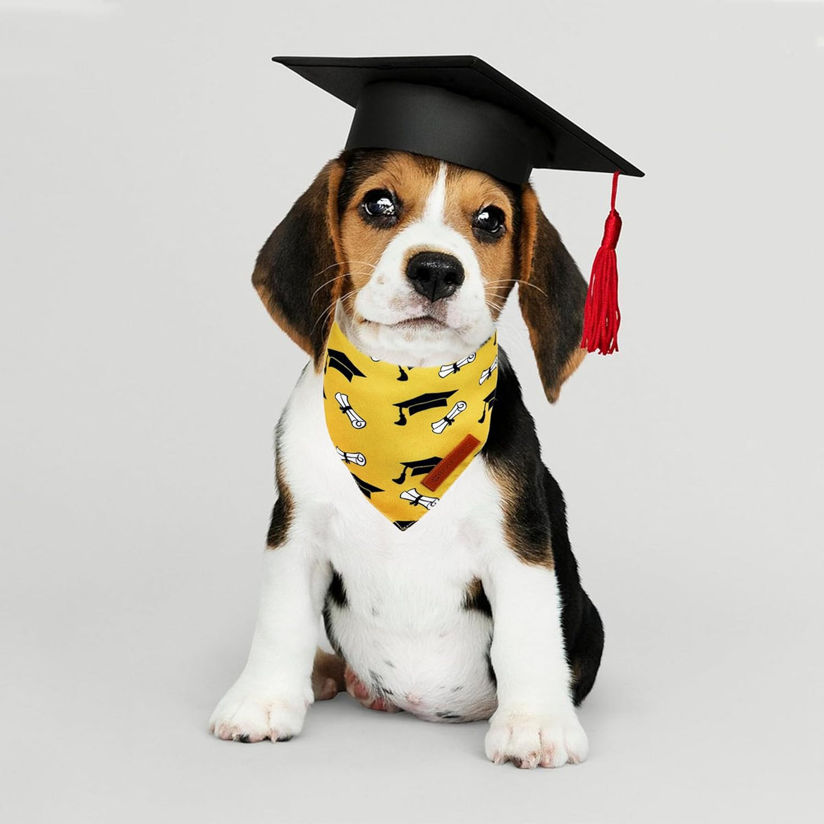 Realeaf Graduation Dog Bandanas 2 Pack, Reversible Pet Scarf for Boy and Girl, Premium Durable