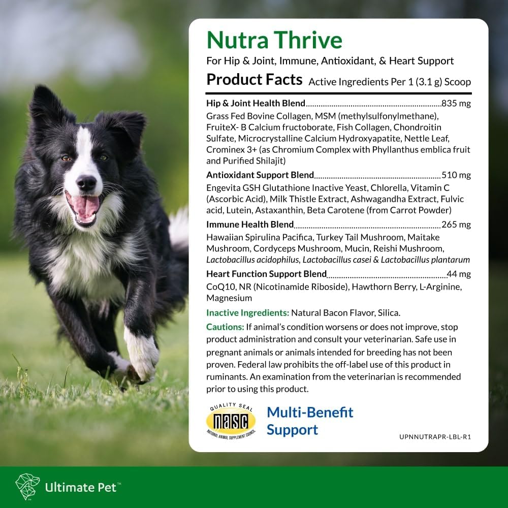 Ultimate Pet Nutrition Nutra Thrive Canine, 40-in-1 Nutritional Powder Supplement for Dogs with