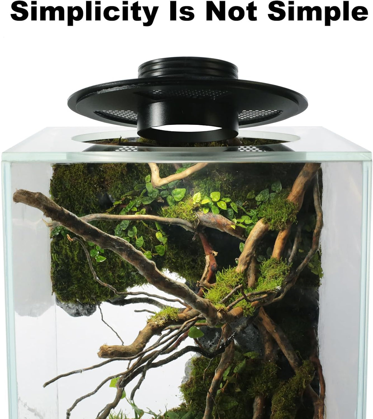 Desktop Glass Plant Terrarium with Grow Light(L7.8 W7.8 H14), for Succulent, Moss, Miniature