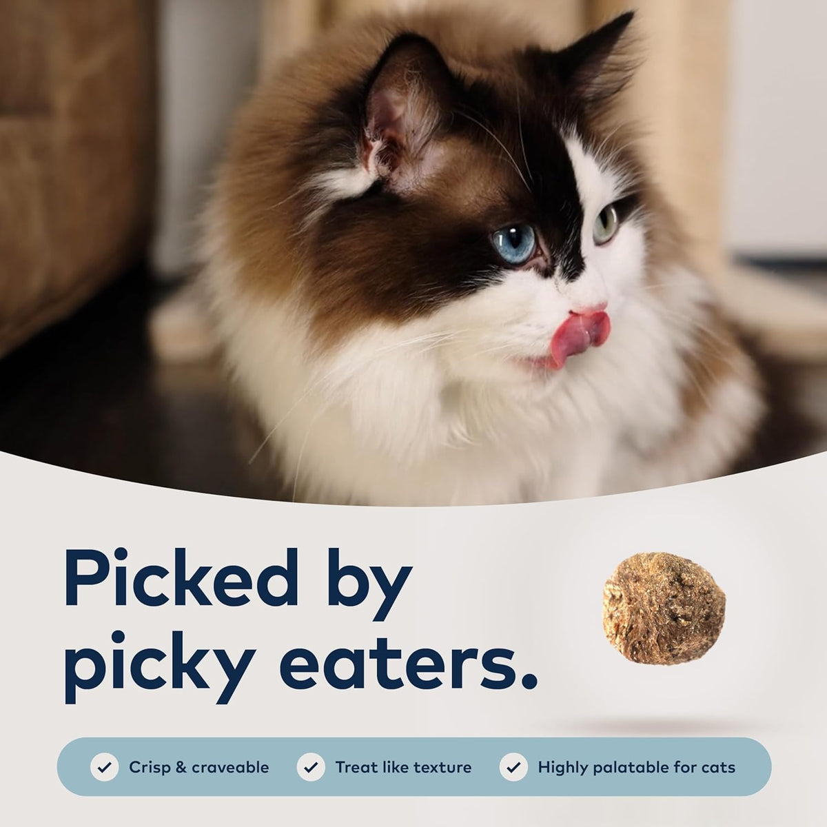 ZIWI Peak Steam & Dried Cat Food – Beef w/Southern Blue Whiting Fish - High Protein, Skin & Coat