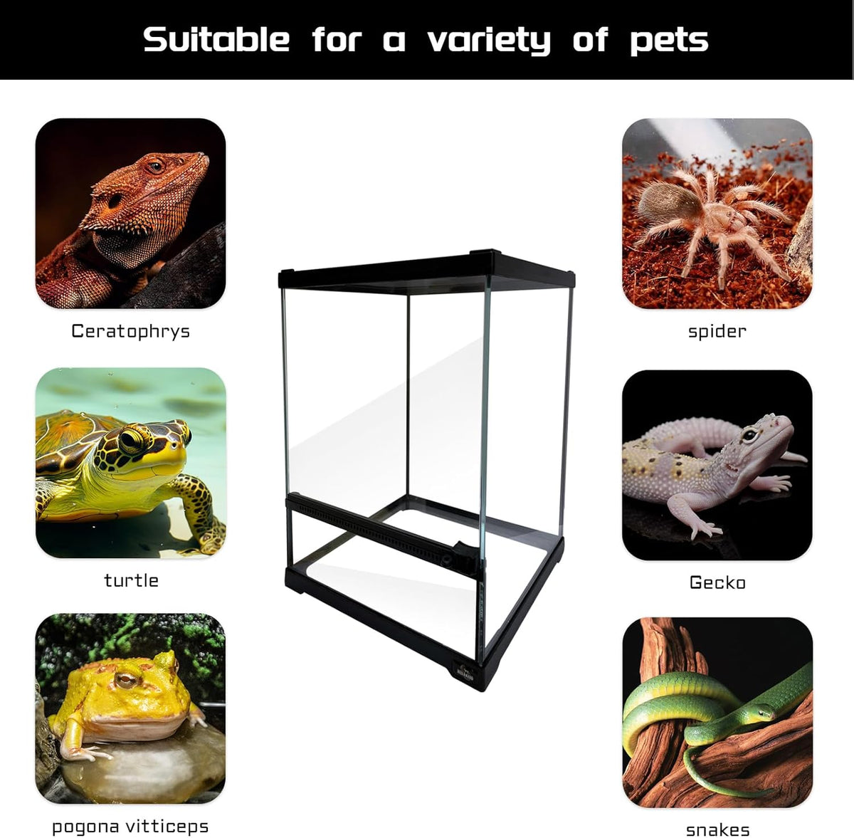 Reptile Glass Terrarium Tank 10 * 10 * 14in, Full View with Front Opening Door,Amphibians Enclosure