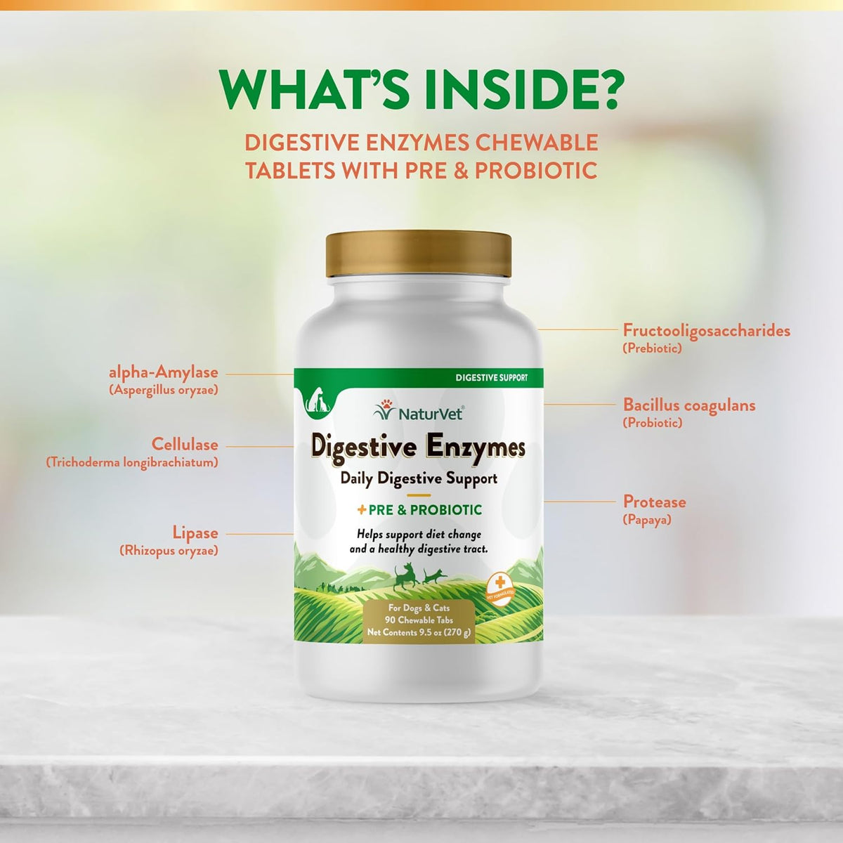 NaturVet Digestive Enzymes Plus Probiotics Supplement for Dogs, Soft Chews, Made in The USA with