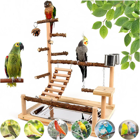 Bird Playground, Parrot Perch Stand, Natural Wood Bird Play Stands for Cockatiel Wood Perch Gym
