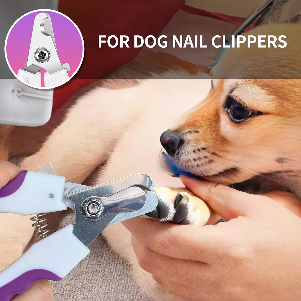 OneCut 4.7" Small Dog & Cat Nail Clipper Stainless Steel Cat Claw Trimmers for Rabbits, Guinea