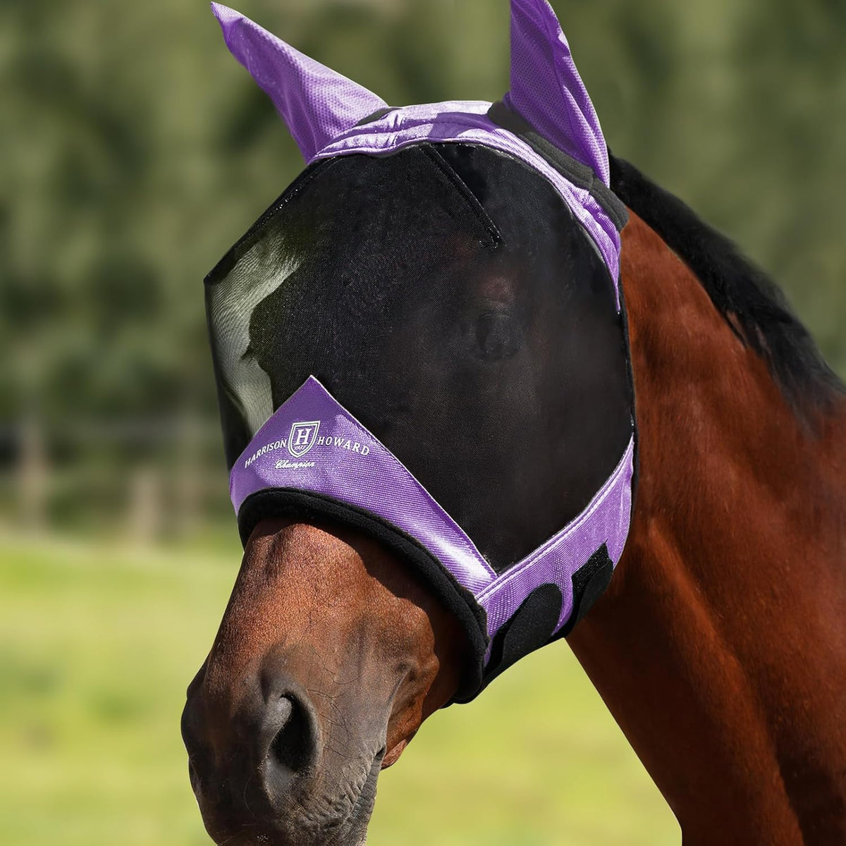 Harrison Howard Pro Luminous Horse Half Face Fly Mask Large Eye Space with Ears UV Protection for