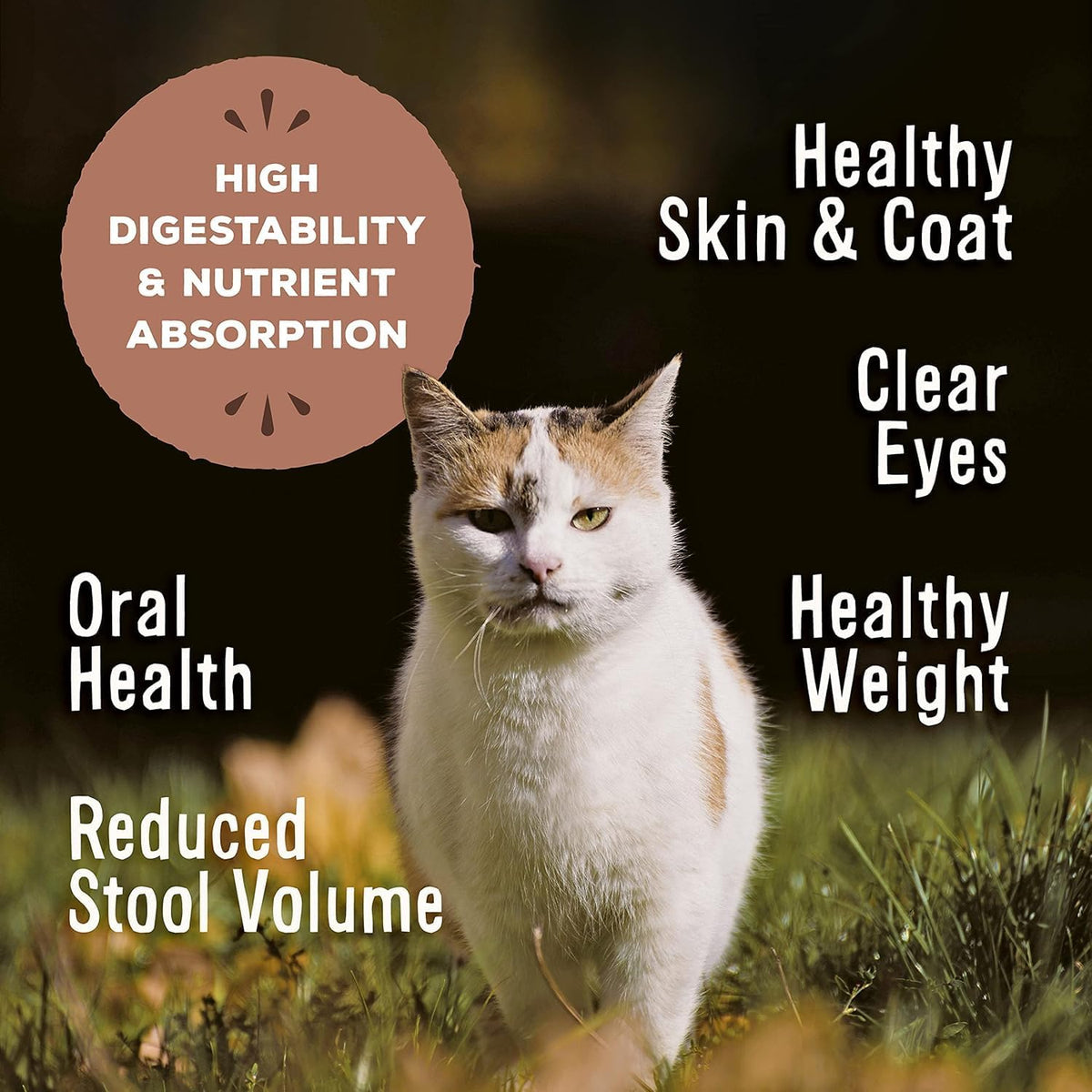 Primal Freeze Dried Raw Cat Food Nuggets Chicken & Salmon, Complete & Balanced Meal or Topper