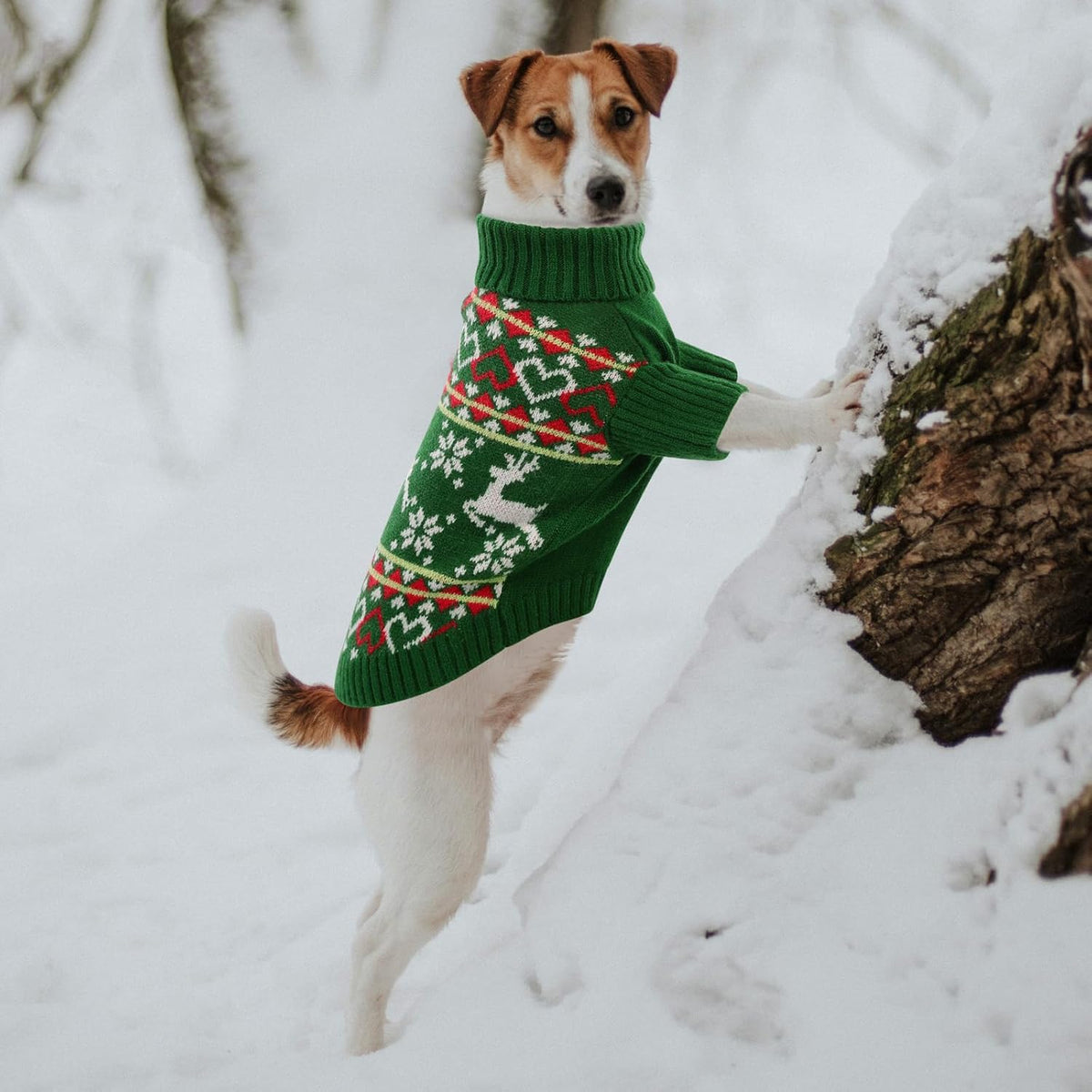 Queenmore Dog Christmas Sweater,Turtleneck Knitted Pullover Xmas Dog Clothes Sweatshirt,Pet