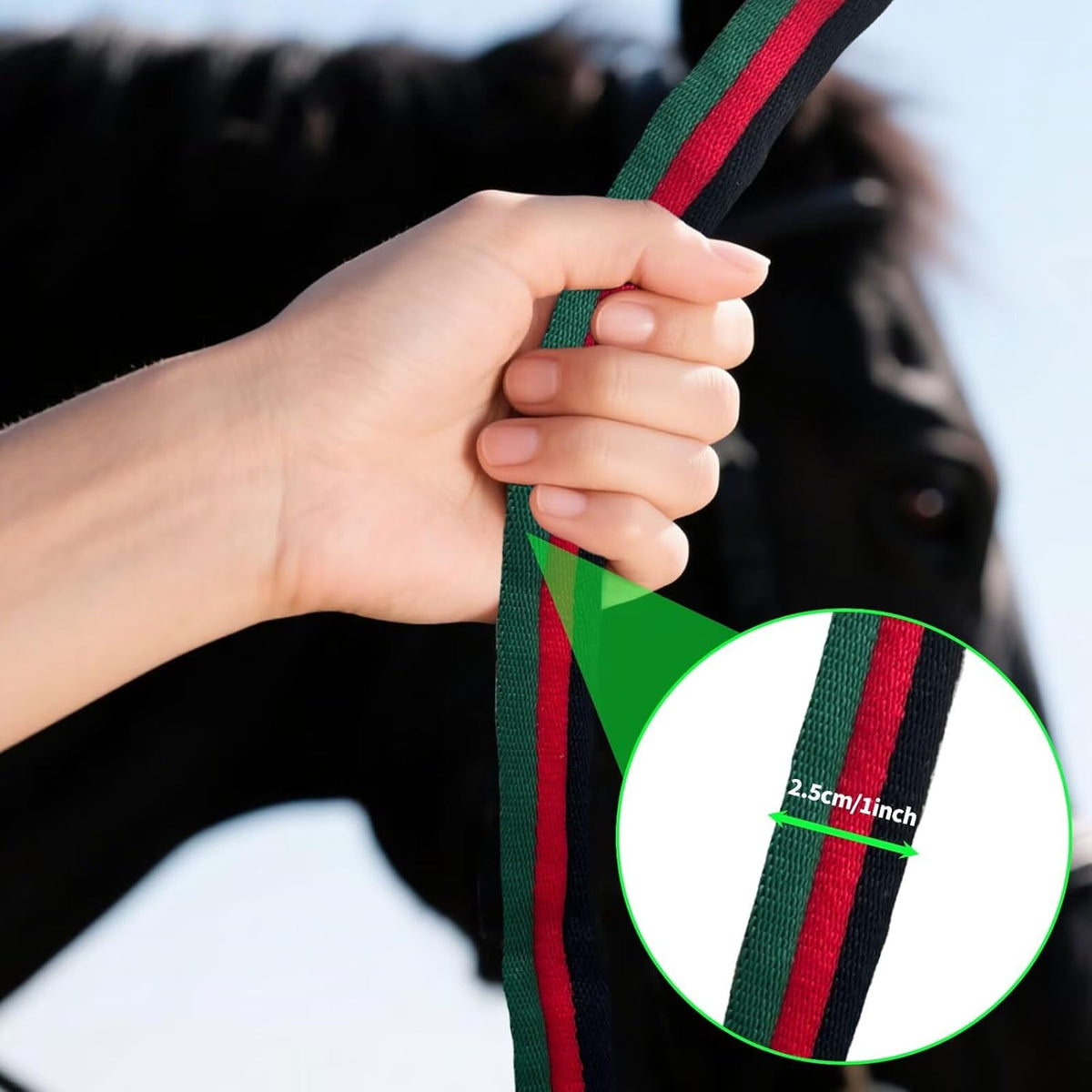 Lunge Line for Horse, Premium Equine Lunge Line with Swivel Bolt Snap for Accurate Equestrian