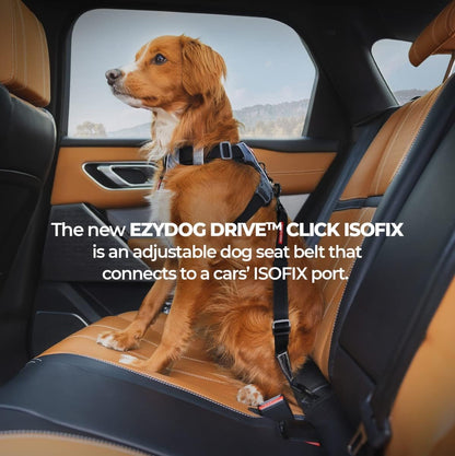 EzyDog Click ISOFIX Standard - Dog Seat Belt Car Harness Attachment for Dogs - Adjustable Dog