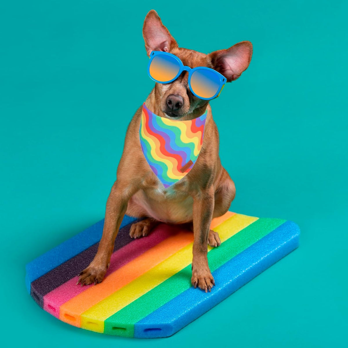 PTDECOR Rainbow Dog Bandanas Pride Day Dog Scarf Reversible Triangle LGBT+ Rainbow Bandanas for
