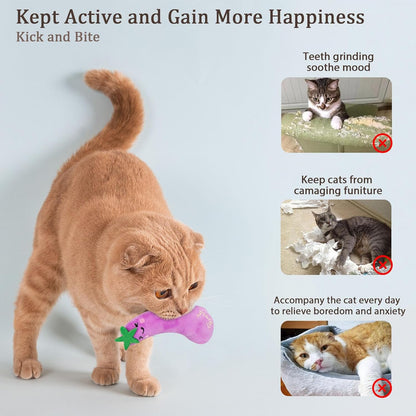 Catnip Cat Toys, Interactive Indoor Cat Nip Toy Kitty Kicker, Dental Kitten Chew Toy, 5 Pack