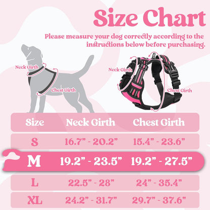 rabbitgoo Dog Harness Medium Sized, No Pull Pet Harness with 3 Buckles, Adjustable Soft Padded Vest