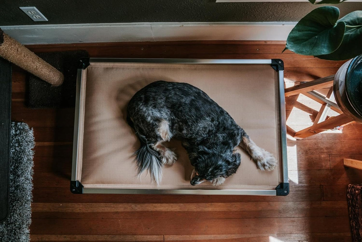K9 Ballistics Chew Proof Armored Padded Dog Crate Bed, Virtually Indestructible, Legs Included