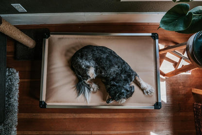 K9 Ballistics Chew Proof Armored Padded Dog Crate Bed, Virtually Indestructible, Legs Included