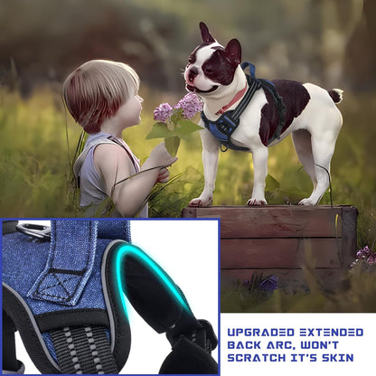 BUMBIN Dog Harness for Large Dogs, No Pull Adjustable No Choke Pet Vest with Dog Leash Fit Smart