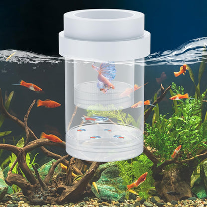 Pawfly Breeder Box for Fish Tank, Aquarium Fish Breeding Box, Floating Guppy Breeder Box, Baby Fish