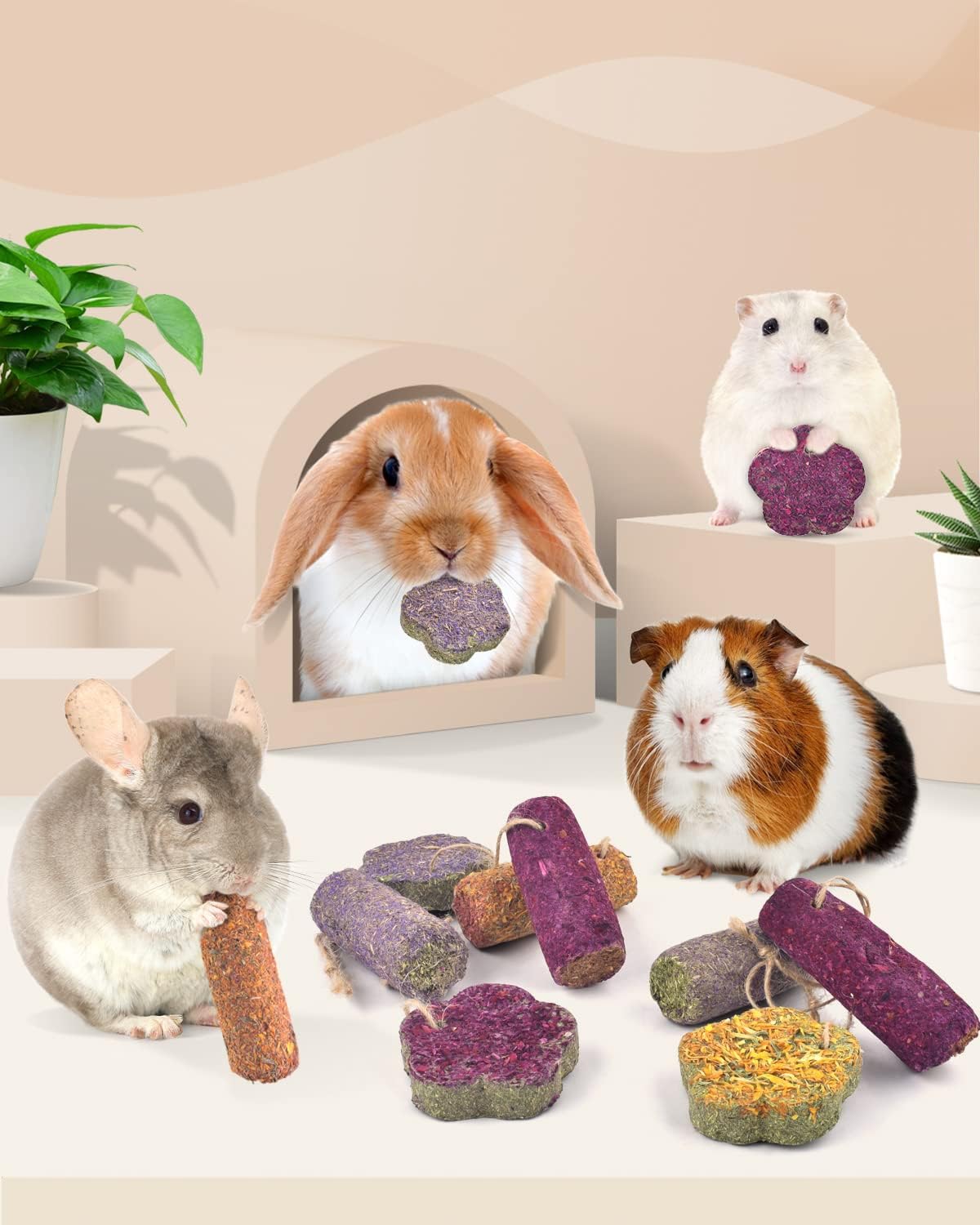 Bissap 12PCS Rabbit Chew Sticks, Hanging Chew Sticks & Cakes Timothy Hay Carrot Strawberry Treat