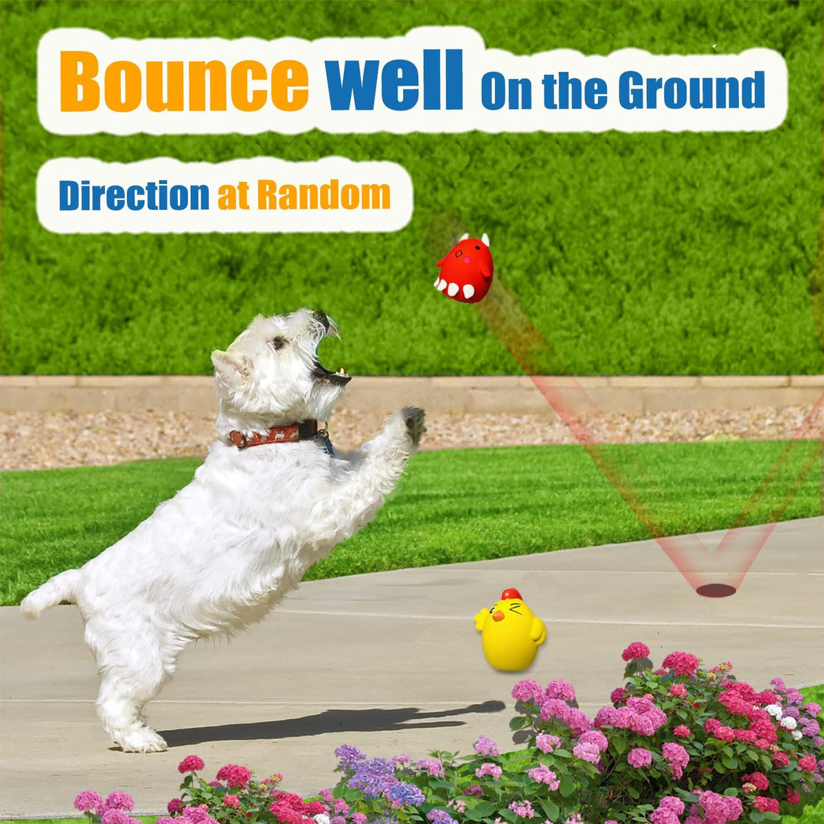 Squeaky Dog Toys for Small Dogs and Medium Breeds, Puppy Small Dog Toys Squeaky Dog Balls 6pcs for