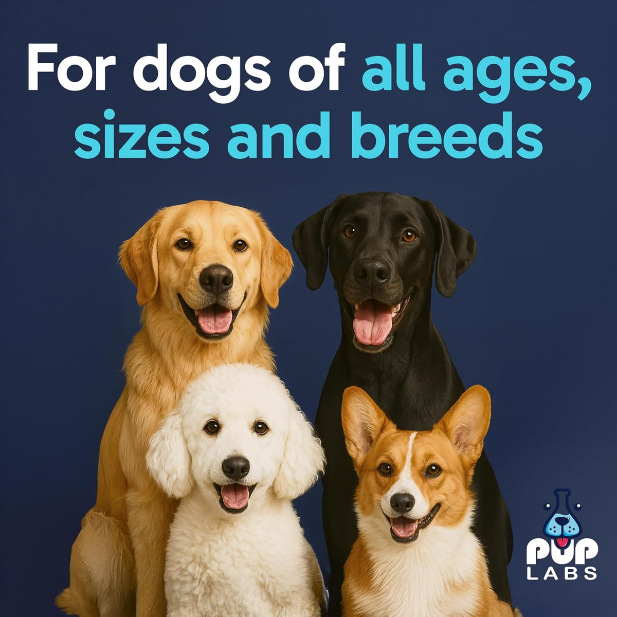 Tummy Essentials Probiotic Chews for Dogs, Supports Gut Health for Dogs and Firm Stools, Helps