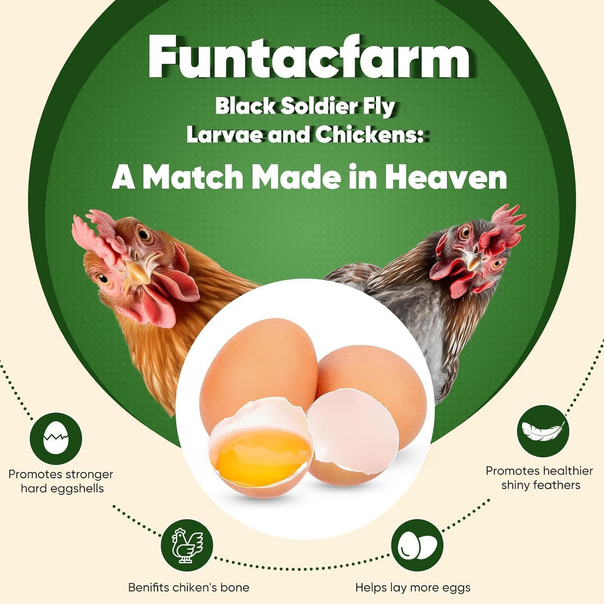 15LB Dried Black Soldier Fly Larvae for Chickens, High Protein Chicken Feed Superior to Meal Worms