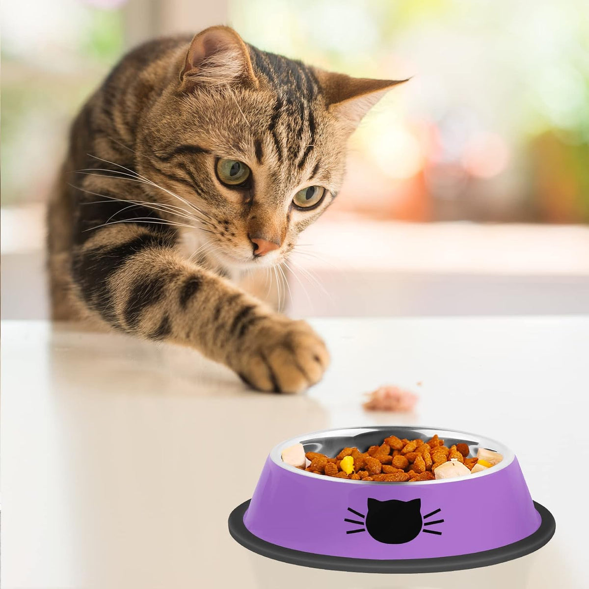 3Pcs Cat Bowls, Non-Slip Stainless Steel, 7 Oz, Suitable for Indoor Pets, Removable Rubber Base