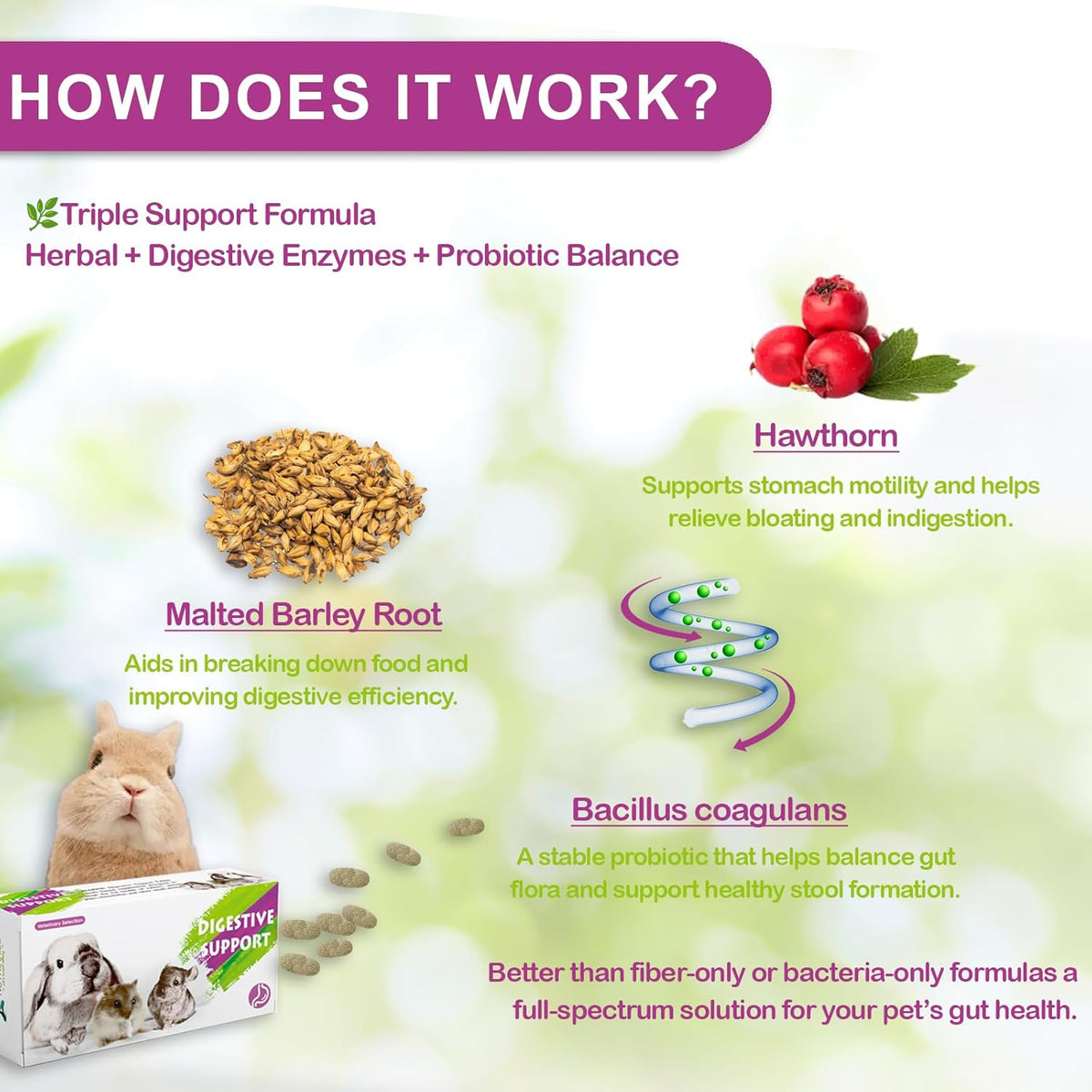 Digestive Support for Rabbits - High Fiber Probiotics, GI Stasis Prevention, Promote Gut Motility