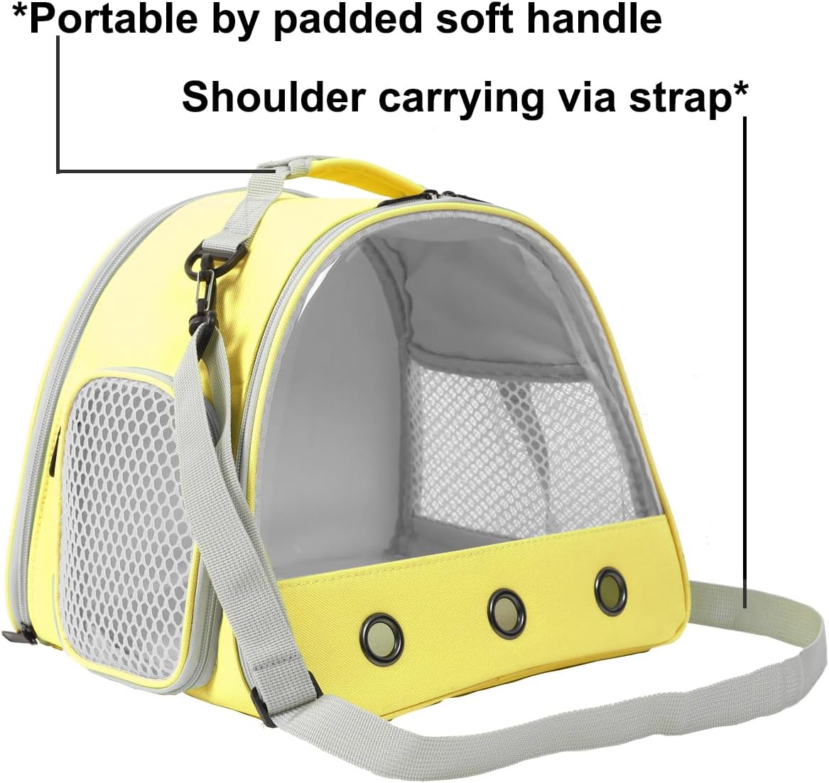 Bearded DragonTravel Cage,Lizards Carrier, Small Animal Travel Carrier for Hedgehog Rat Parrot Bird