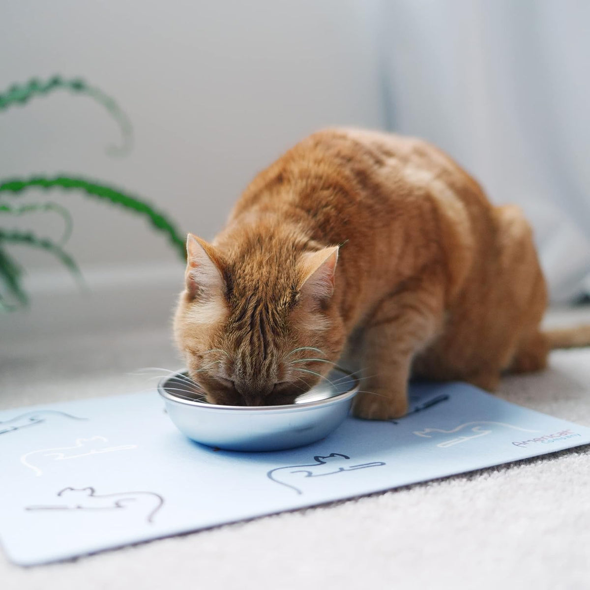 Cat Feeding Mat by Americat for Cat Food & Water Bowls – Machine Washable, Waterproof, No-Slip &