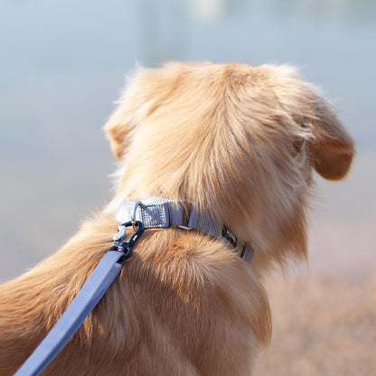 Hyhug Pets Premium Upgraded Heavy Duty Nylon Anti-Escape Martingale Collar for Pup Boy and Girl