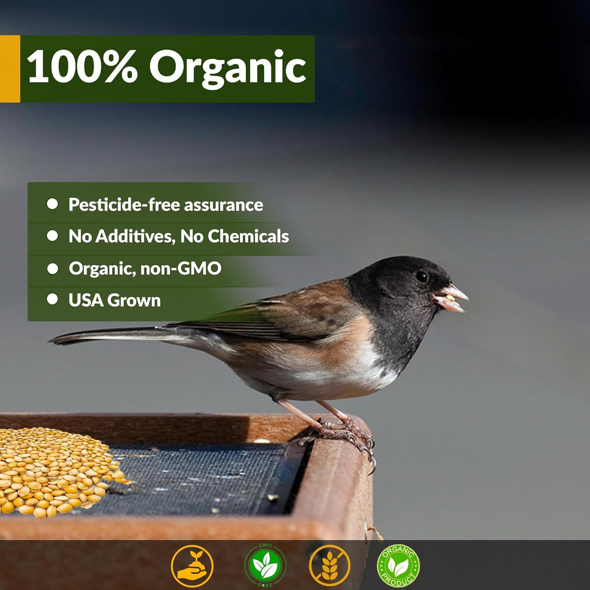 Wildlife Organic White Millet for Bird Feeding and Wildlife Bird attracting, Non-GMO and USA Grown