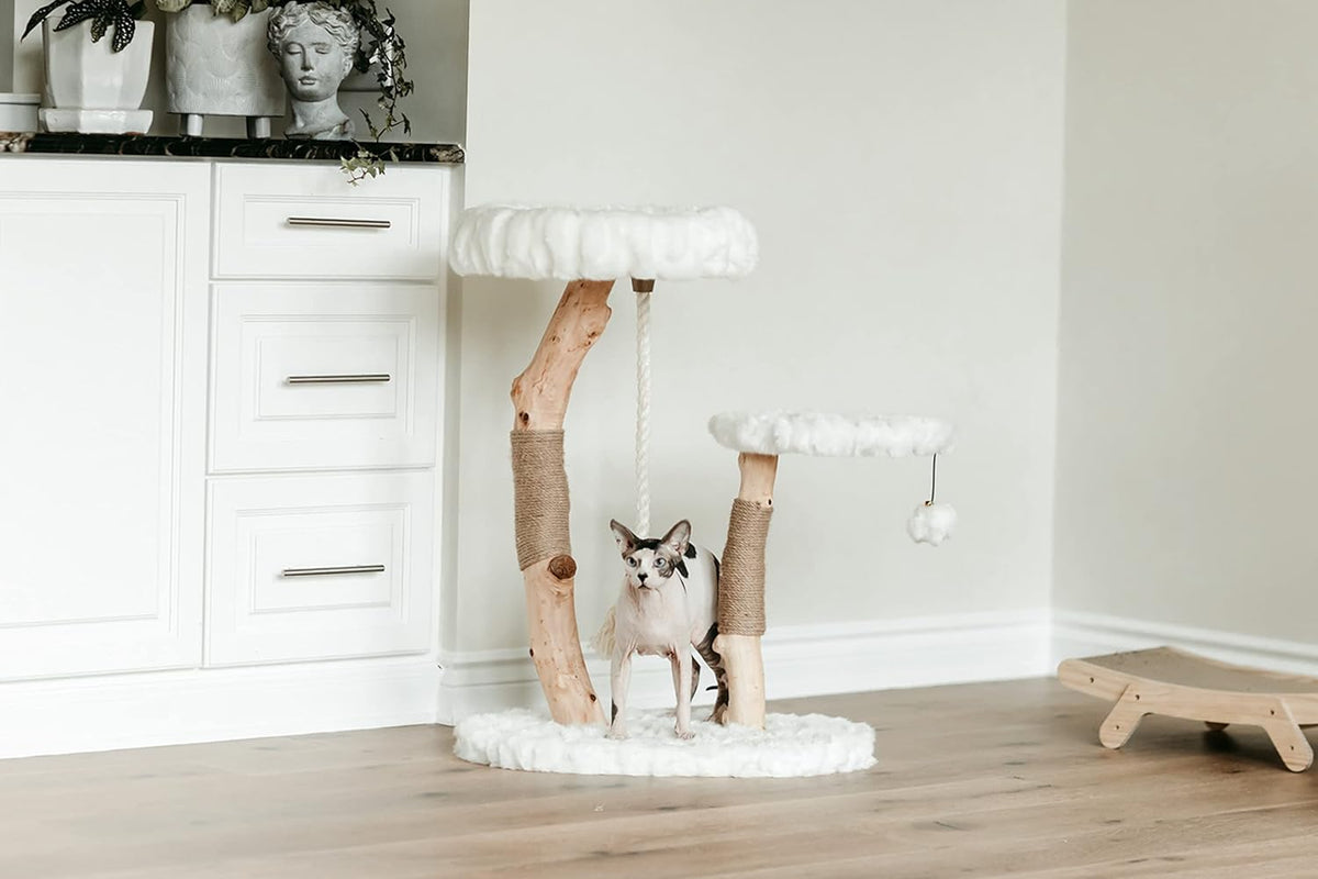 Mau Lifestyle Luxury Cat Tree: Modern Cat Condo & Luxury Wood Cat Tower; Natural Branch Scratching
