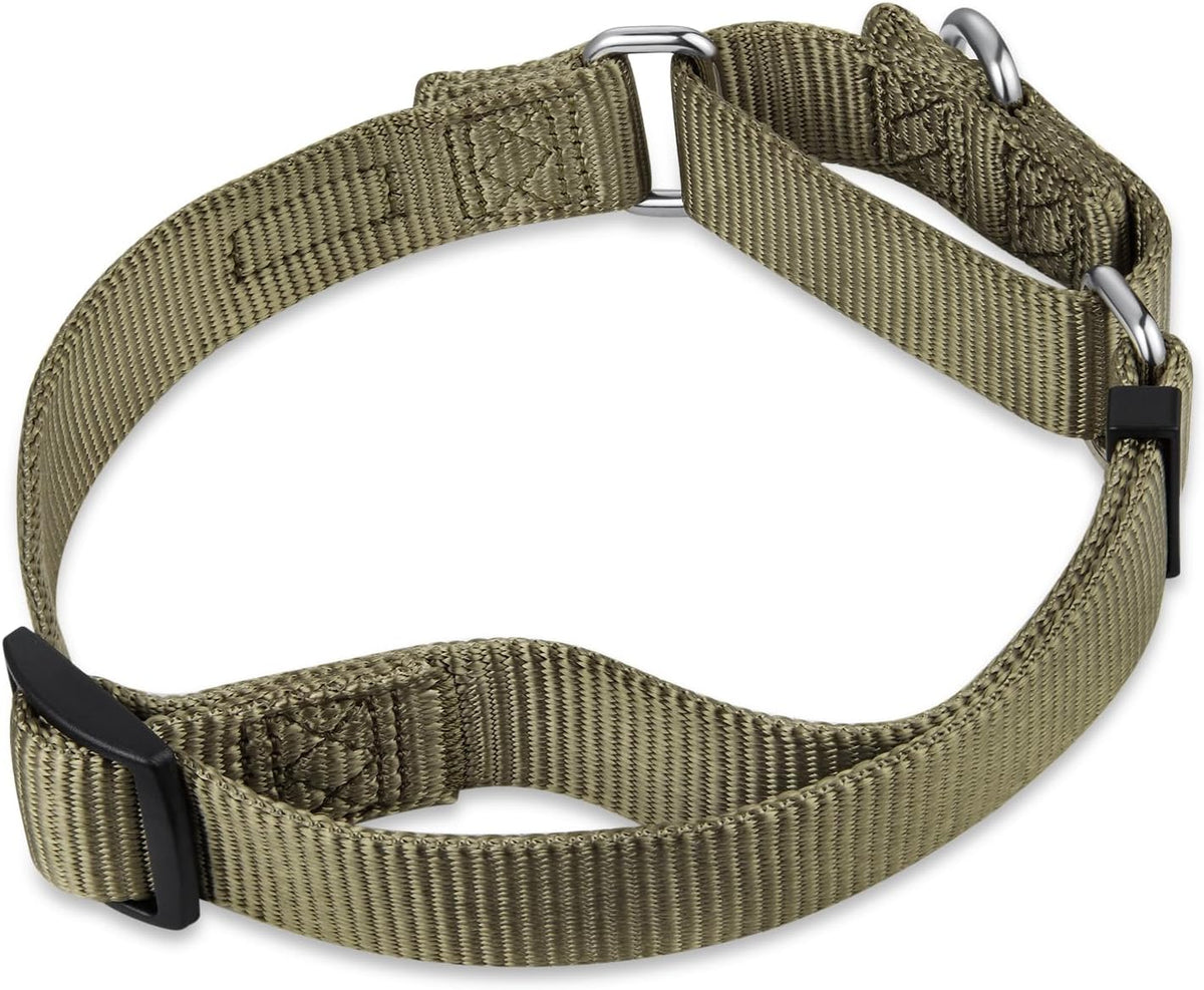 Premium Upgraded Durable Nylon Anti-Escape Martingale Dog Collar for Medium Boy and Girl Dogs Comfy