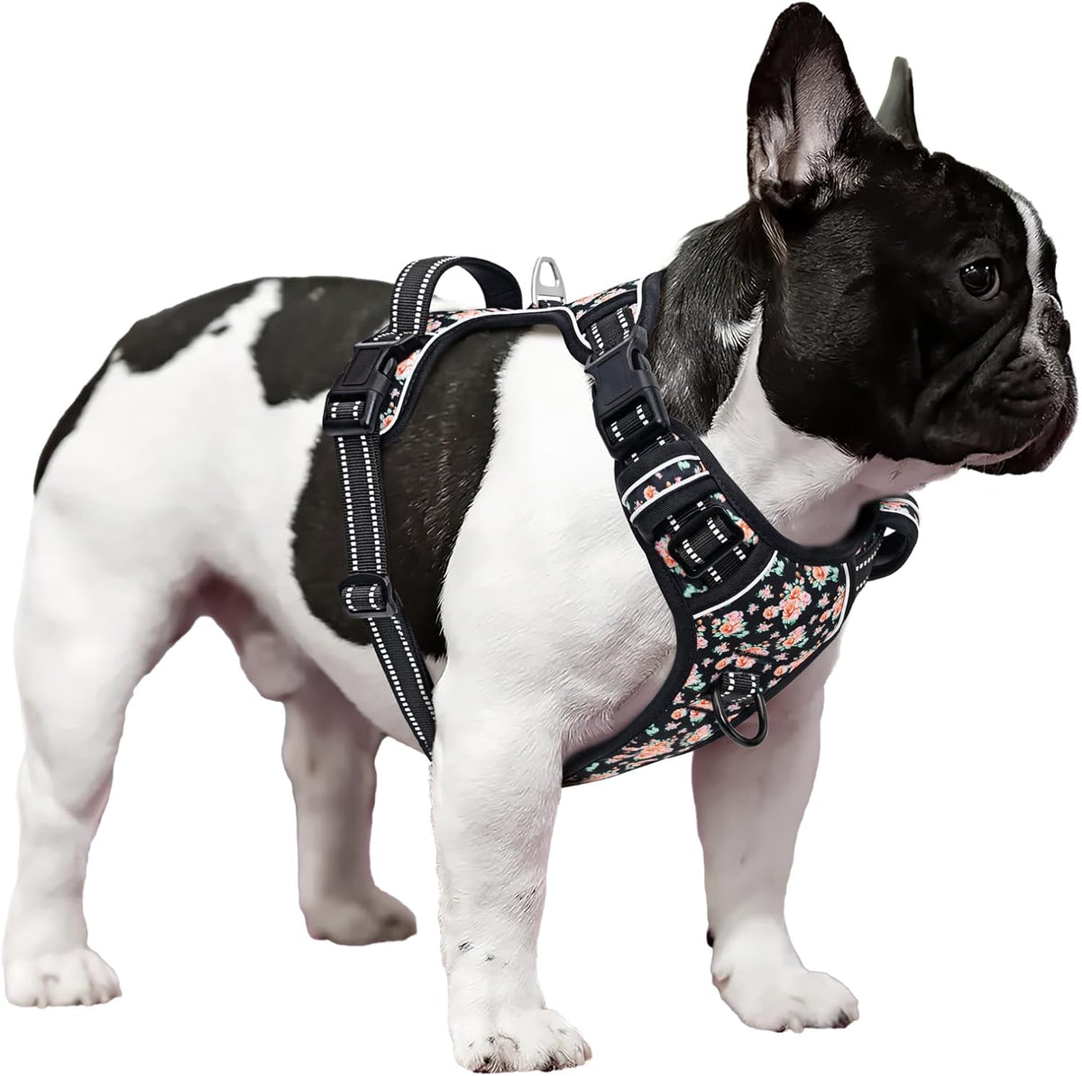 Timos Dog Harness, 3 Snap Buckles No-Pull Soft Padded Dog Vest with 2 Metal Leash Clips,Adjustable