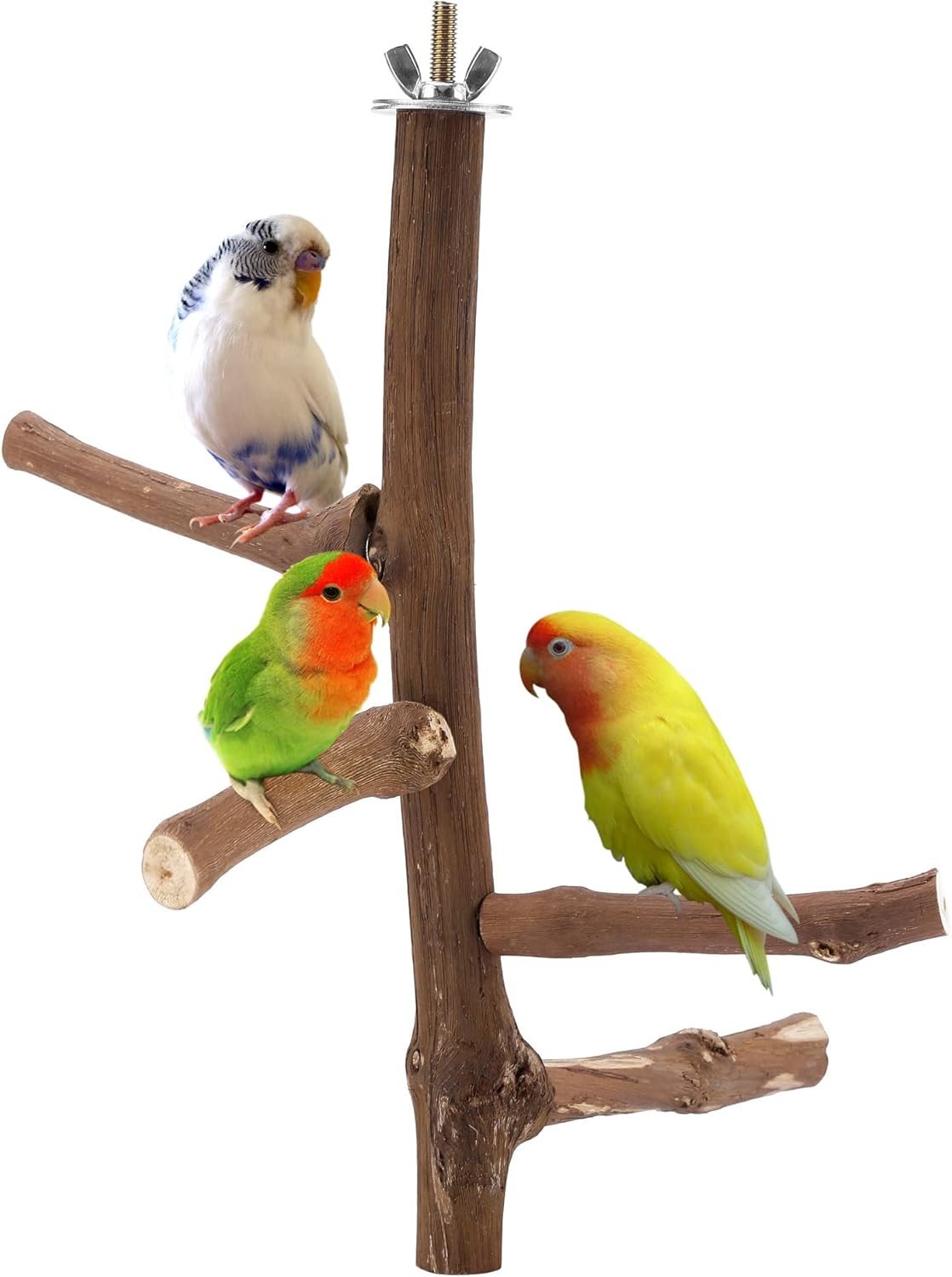 Bird Perch Stand Toy, Natural Grapevine Wood Parrot Perch Bird Cage Branch Accessories for