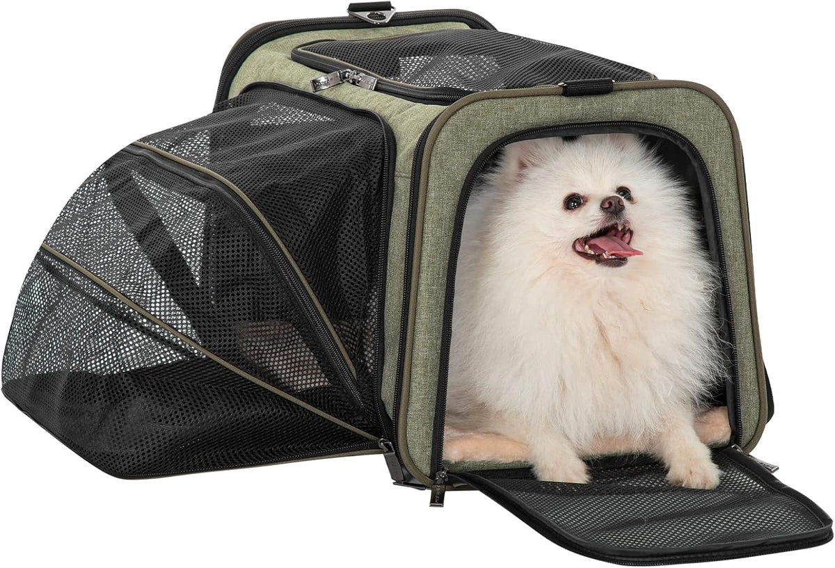 Petsfit Expandable Cat Carrier Dog Carrier, Soft-Sided Collapsible Portable Pet Carrier, 19x12x12
