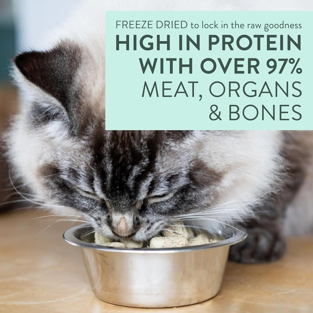 Meow Freeze Dried Cat Food - Wild Brushtail Recipe, High Protein Cat Treats, Meals & Toppers,Dry