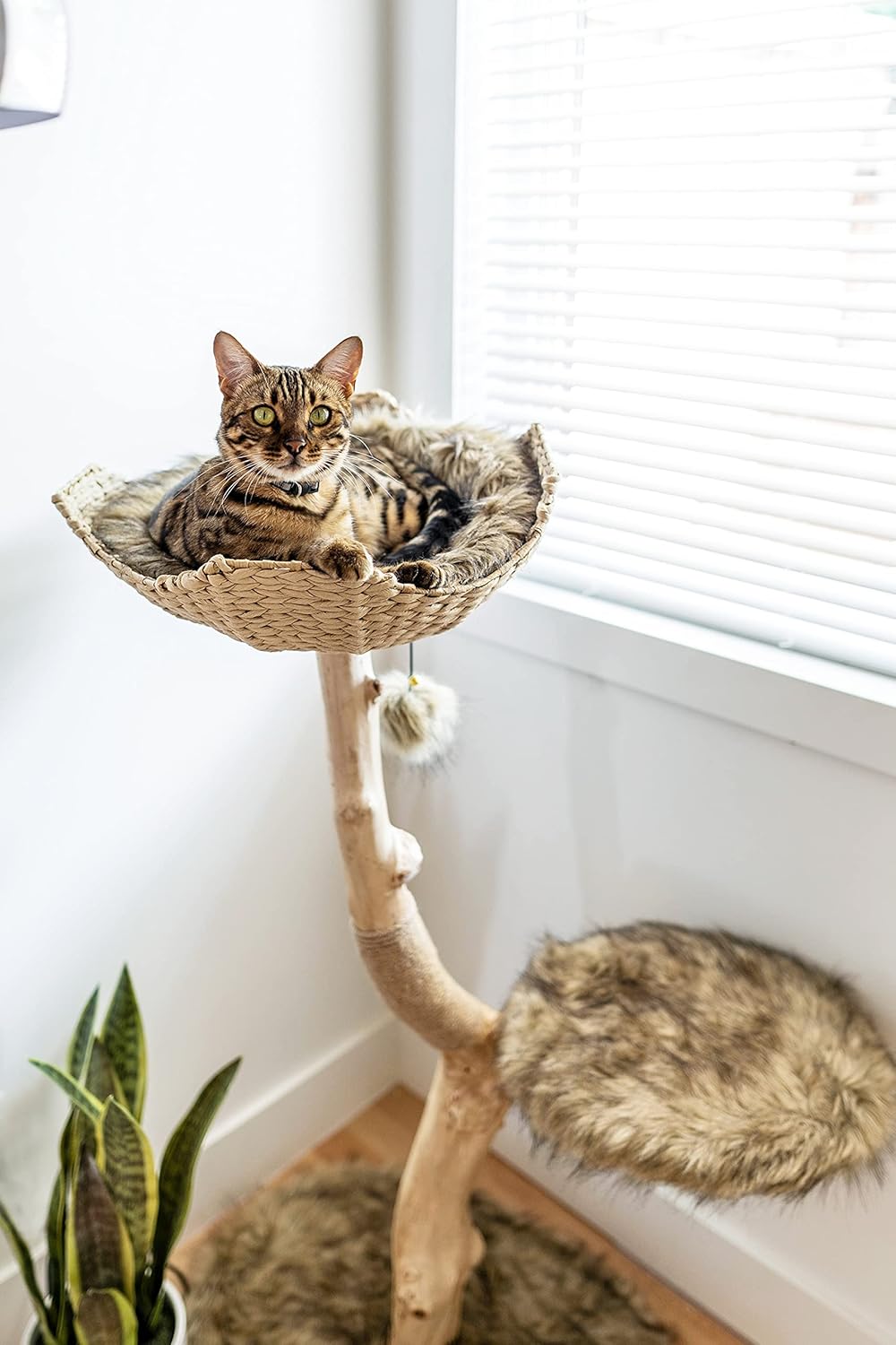 Wooden Cat Tree Tower, Modern Single Branch Cat Condo, Wood Cat Tree, Cat Climbing, Furniture for