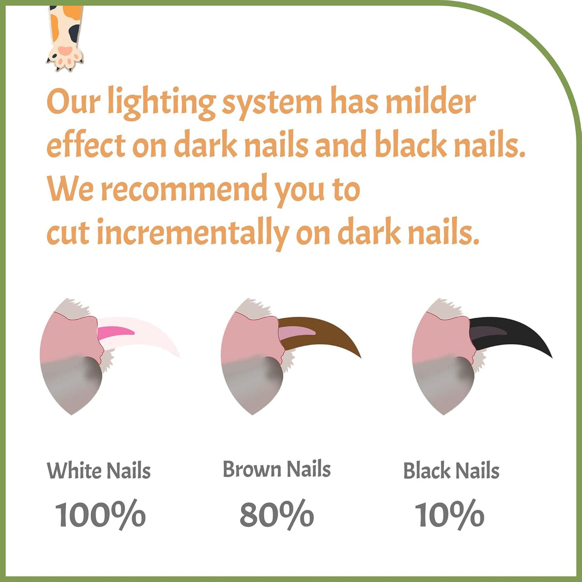 Reinvented Pet Nail Clippers for Your Pal - [USB Rechargeable] - LED Light for Bloodline | Razor