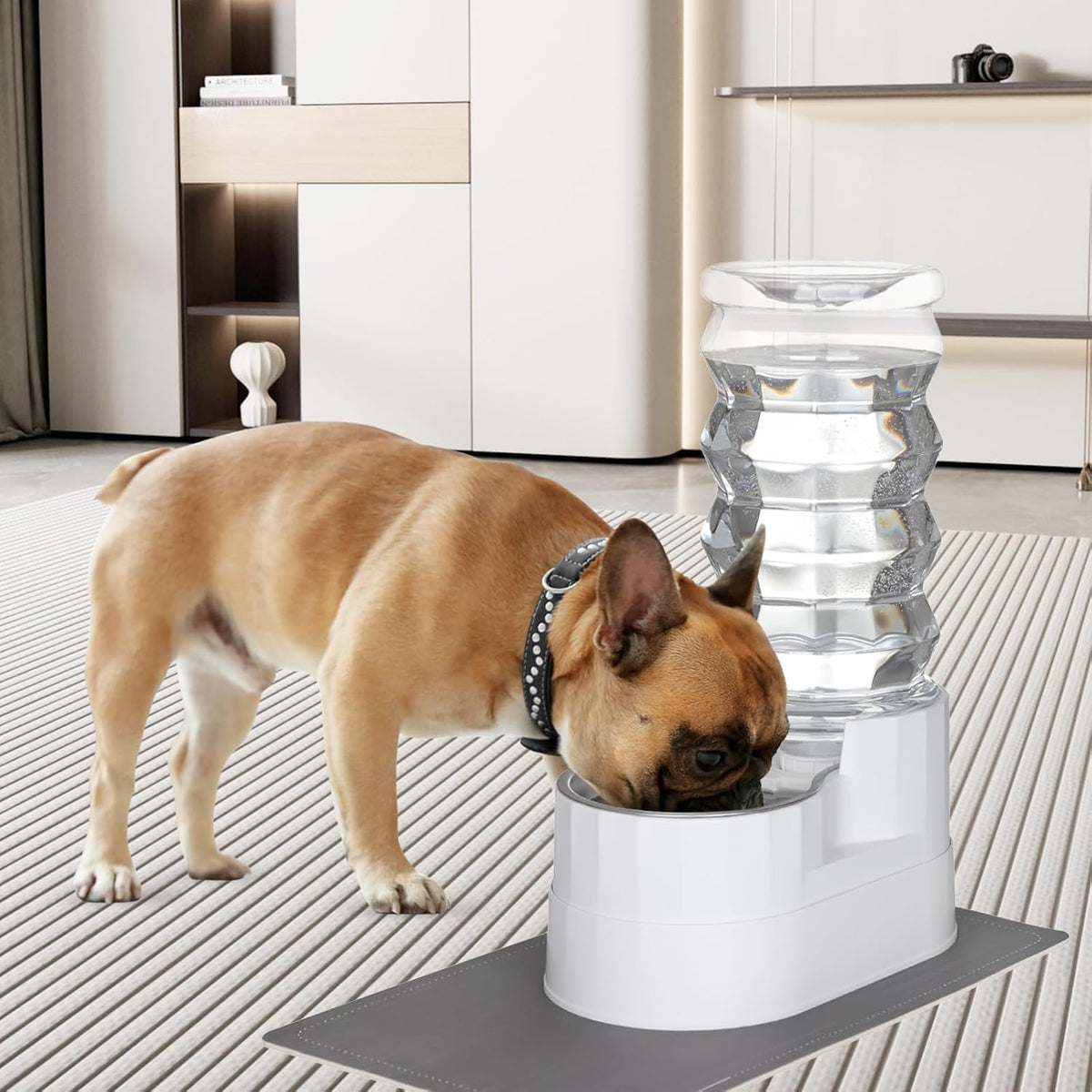 RIZZARI Large Water Dispenser for Dogs: 9L Automatic Stainless Steel Gravity Raised Pet Feeder for