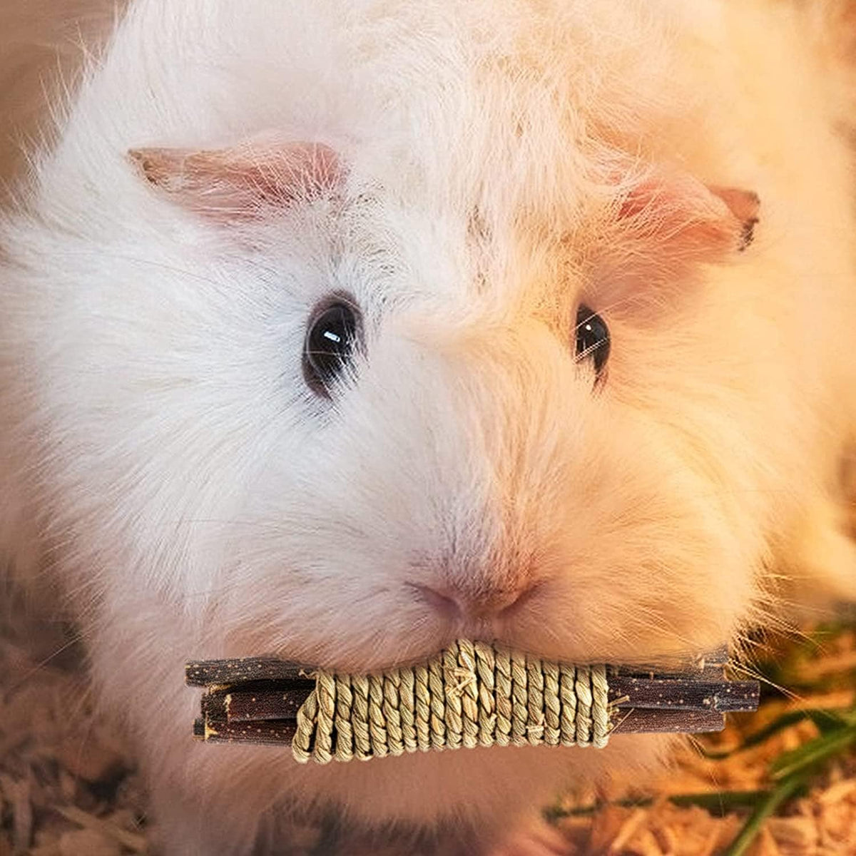 Rabbit Toys, 3 Types Hamster Chew Toys for Teeth Grinding, Improve Dental Health, Best Bunny Toys