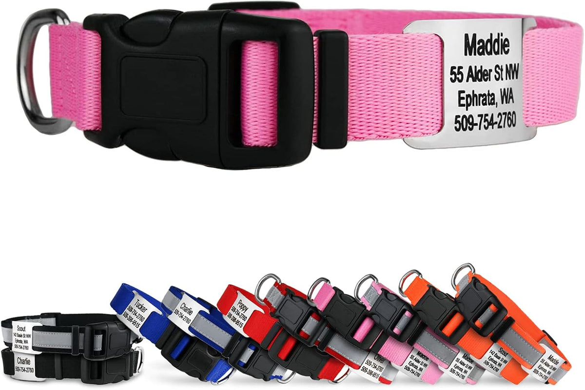 GoTags Personalized Dog Collar with Nameplate, Adjustable Dog Collar with Custom Engraved Slide On