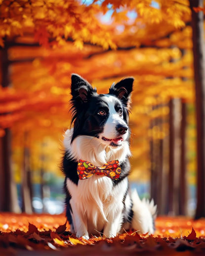 PET SHOW 10 Pack Thanksgiving Big Dog Bow Ties for Large Medium Dogs Sliding Collar Attachments