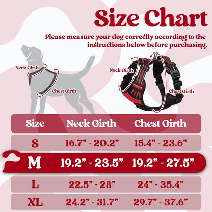 rabbitgoo Dog Harness Medium Sized, No Pull Pet Harness with 3 Buckles, Adjustable Soft Padded Vest