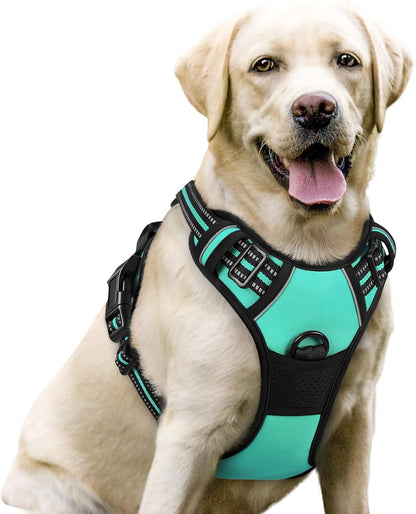 rabbitgoo Dog Harness No Pull with 2 Leash Clips, Adjustable Soft Padded, Reflective Oxford No